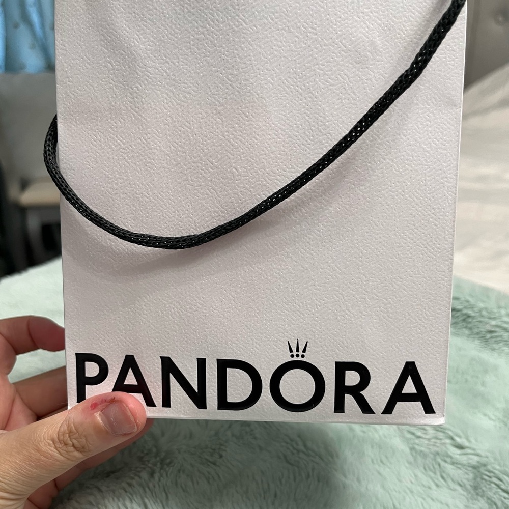 Pandora Bag